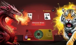 Dragon Tiger tại VN88